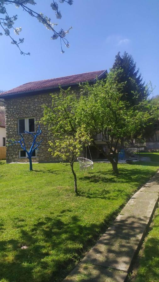 Sumski Raj- Forest Paradise Velika Remeta Exterior photo